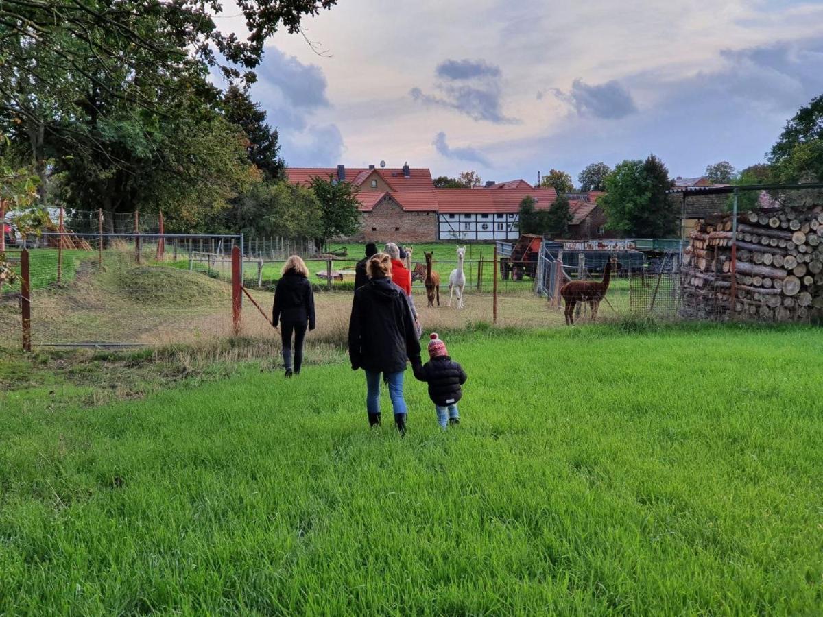 Gelbes Haus Seenland Ferienwohnungen Xl Elsterheide Extérieur photo