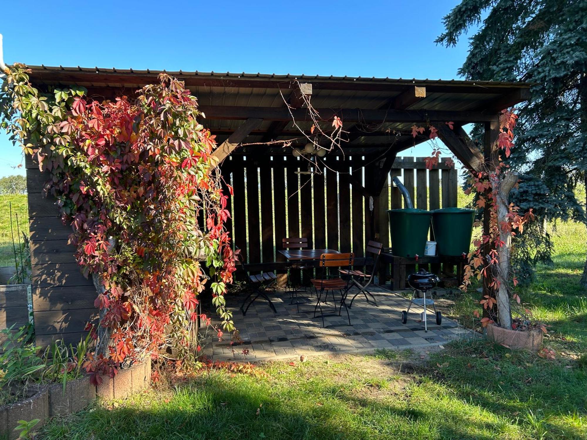 Gelbes Haus Seenland Ferienwohnungen Xl Elsterheide Extérieur photo